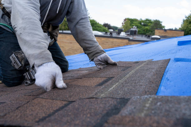 Best Local Roofing Companies  in Brook Highland, AL