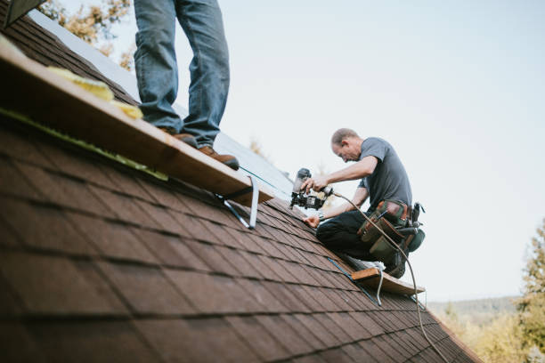Best Storm Damage Roof Repair  in Brook Highland, AL